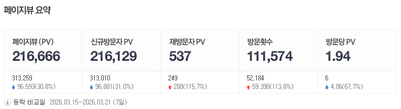 페이지뷰 실측 데이터